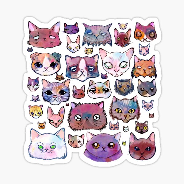 Feline Faces Sticker