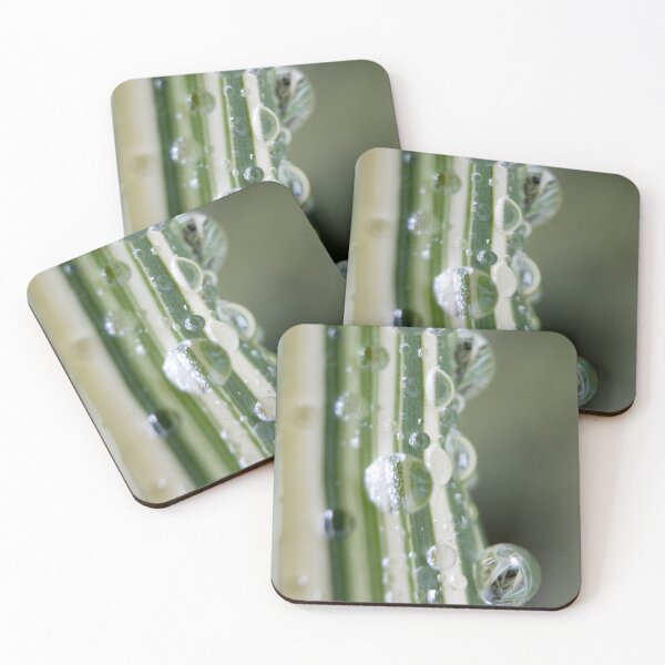 Item preview, Nature's mirrors designed and sold by Latch Farm Studios.