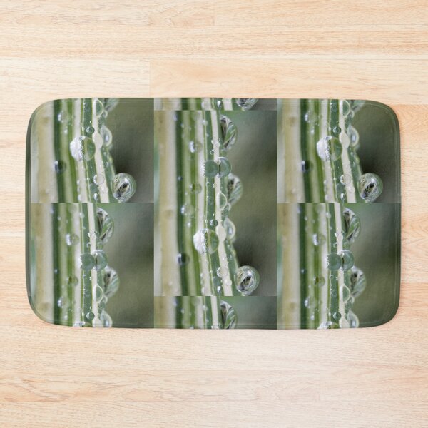 Artikelvorschau, Nature's mirrors entworfen und verkauft von Latch Farm Studios.