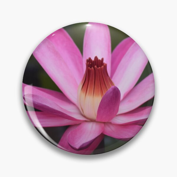Item preview, Water lilly designed and sold by jnorton772.