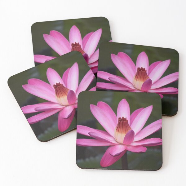 Item preview, Water lilly designed and sold by jnorton772.