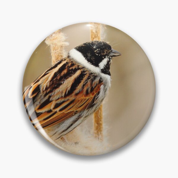 Item preview, Reed......Bunting designed and sold by CBoyle.