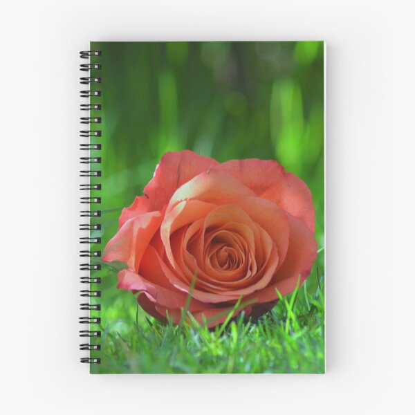 Item preview, Pink Rose on Green Grass designed and sold by Tamara Al Bahri.