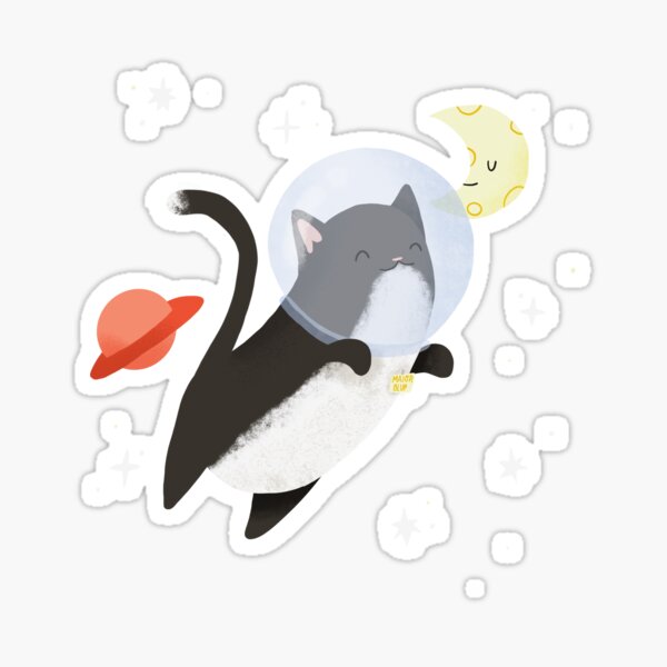 Space cat Sticker