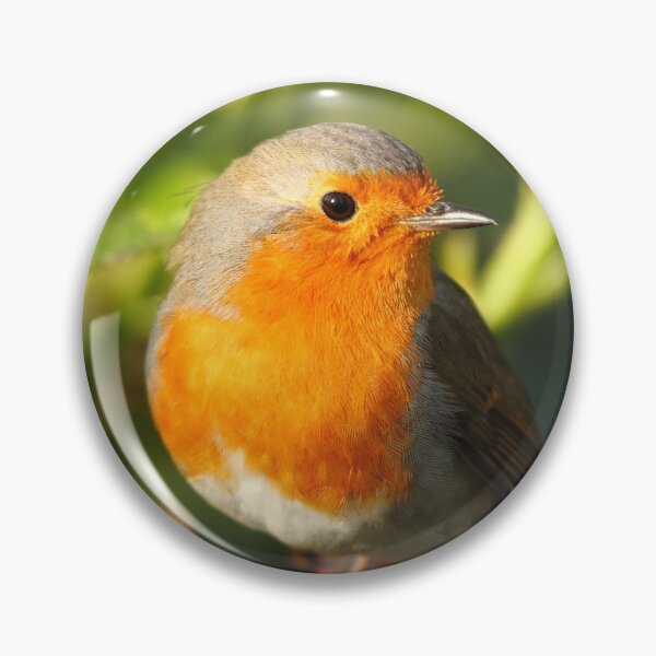Item preview, Robin Between The Thorns designed and sold by CBoyle.