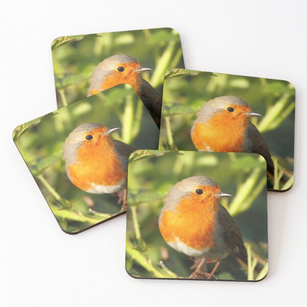 Item preview, Robin Between The Thorns designed and sold by CBoyle.