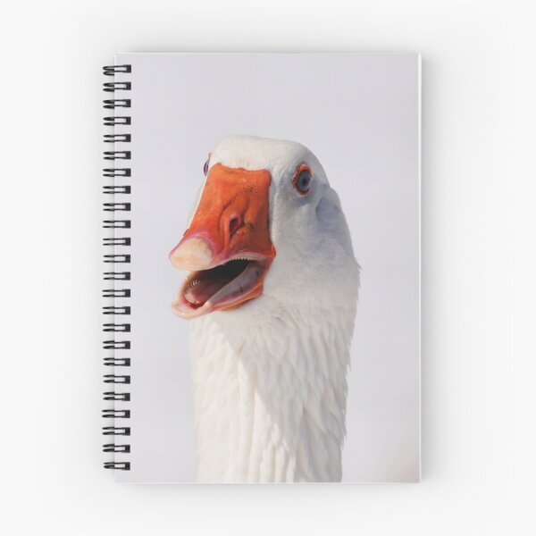 Item preview, Duck, Duck...Goose! designed and sold by Alyce Taylor.