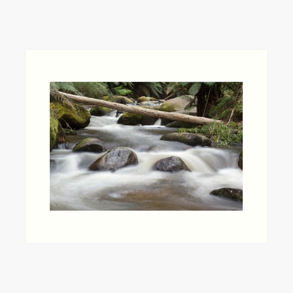 Item preview, toorongo river  designed and sold by peter stagg.