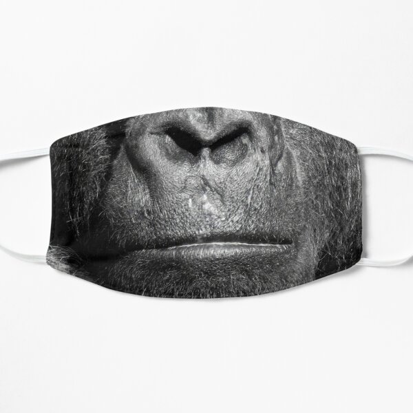 Gorilla mundschutz - Bewundern Sie unserem Testsieger