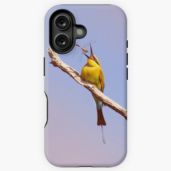 Item preview, Rainbow bee eater, Perth, Western Australia designed and sold by Marc Russo.