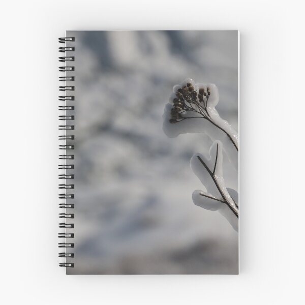 Item preview, frozen plant designed and sold by Perggals© - Stacey Turner.