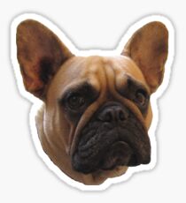 Bulldog t-shirt/sticker/prints/case/mug/cushion/duvet cover/leggings Sticker