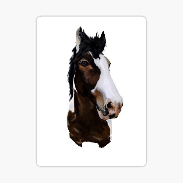 Equine Art Stickers Redbubble - of perlino roblox