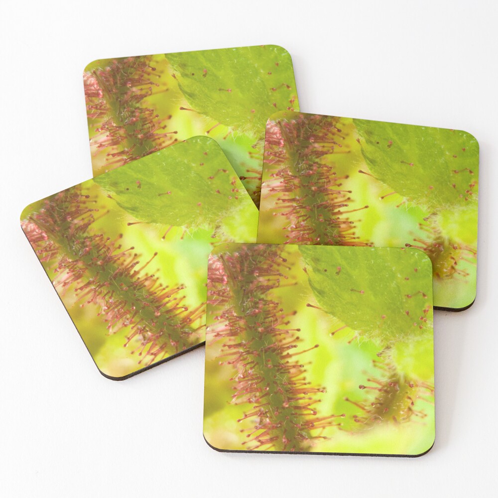 Item preview, Coasters (Set of 4) designed and sold by Mindreader.