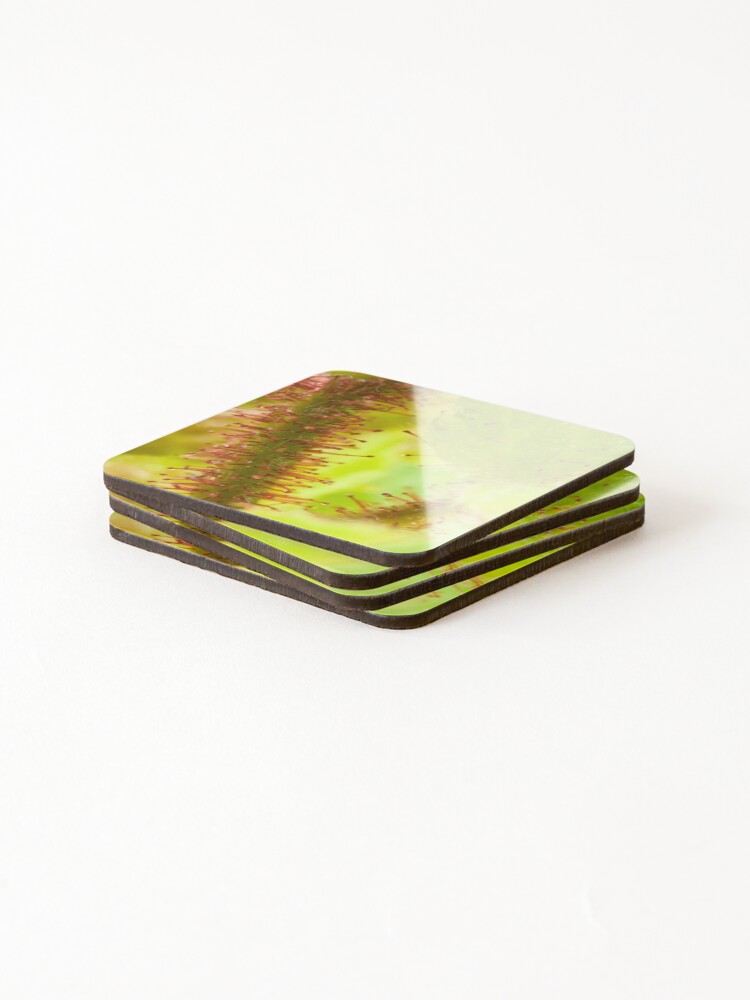 Thumbnail 4 of 5, Coasters (Set of 4), Hazel designed and sold by Mindreader.