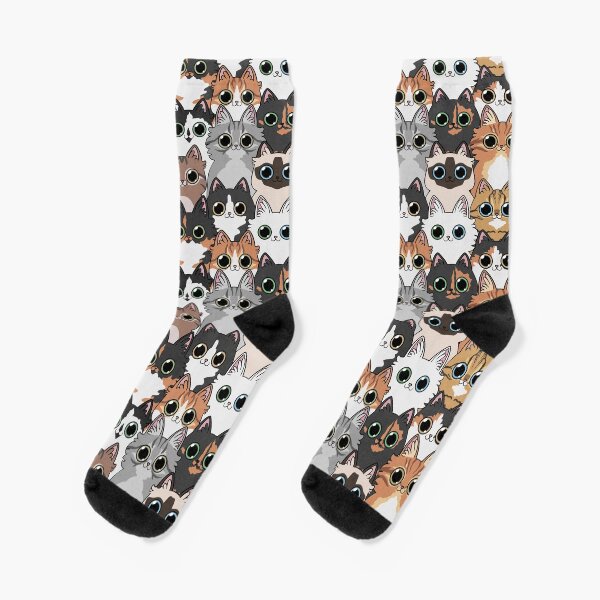 Lots of cats! Socks