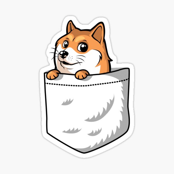 Husky In A Bag - Roblox T Shirt Anime Roblox Png,Husky Transparent - free  transparent png images 