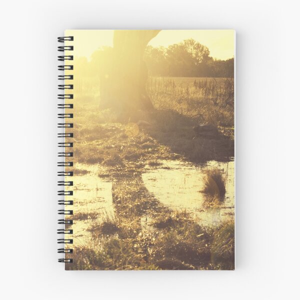 Item preview, After the Rains designed and sold by Linda Lees.