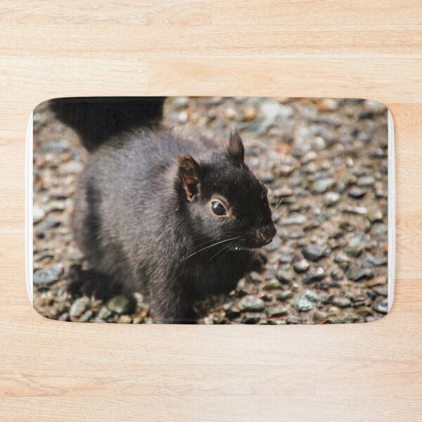 Item preview, black squirrel - close up designed and sold by Perggals© - Stacey Turner.