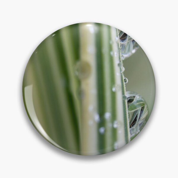 Artikelvorschau, Spiegel der Natur - Makro-Wassertropfen auf buntem Gras entworfen und verkauft von Latch Farm  Studios.