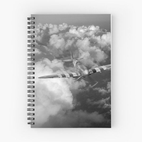 Item preview, D-Day Spitfire patrol B&W version designed and sold by Flight Artworks.