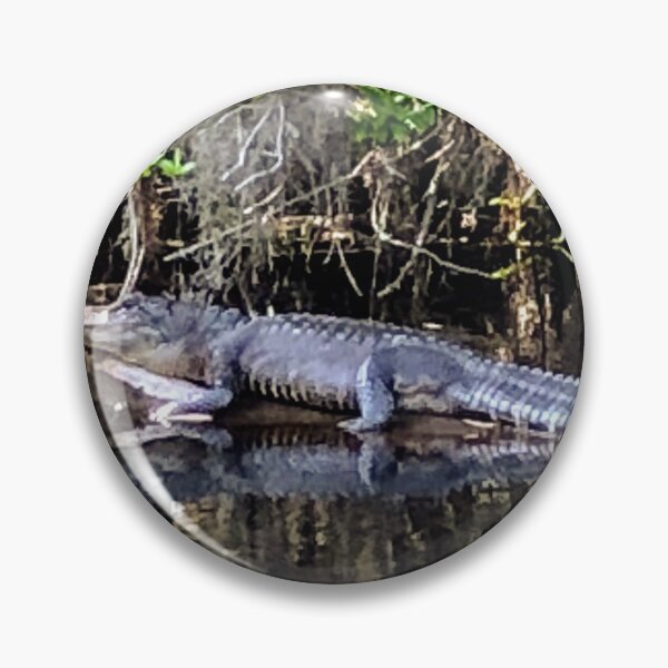 Item preview, Dark Waters of the Okefenokee Swamp designed and sold by Robin Kinnard.