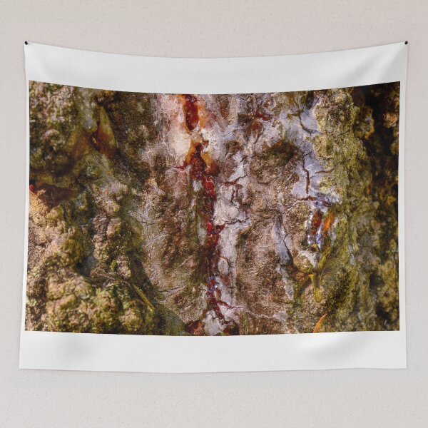 Item preview, bark tree with a spruce  resin designed and sold by yarvin13.