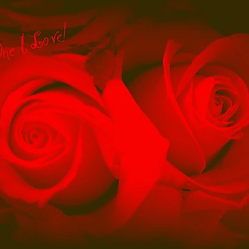 Artwork thumbnail, RED ROSES by Colleen2012