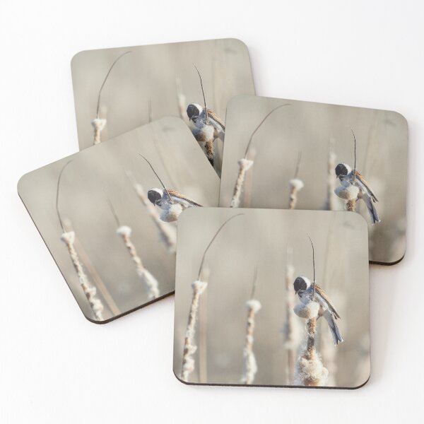 Item preview, Reed Bunting on the bulrush 1 designed and sold by Jouko Lehto Photography.
