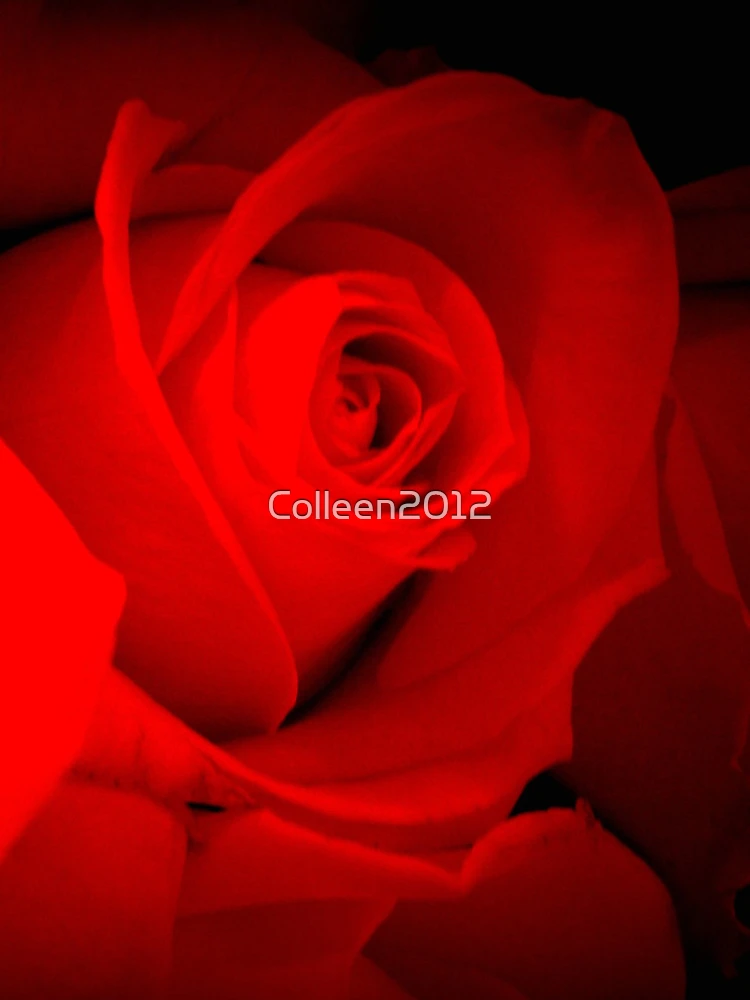 Thumbnail 4 of 4, Samsung Galaxy Phone Case, RED ROSES designed and sold by Colleen2012.
