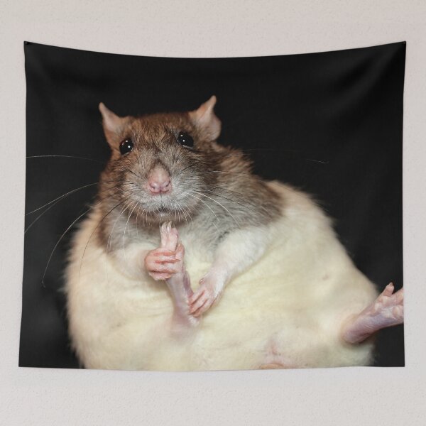 Item preview, Cute rat designed and sold by RatArt Designs.
