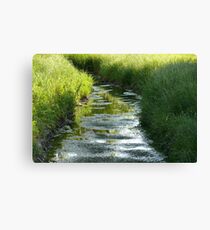 Serenity Canvas Print