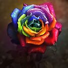 Rainbow Dream Rose by Lilyas