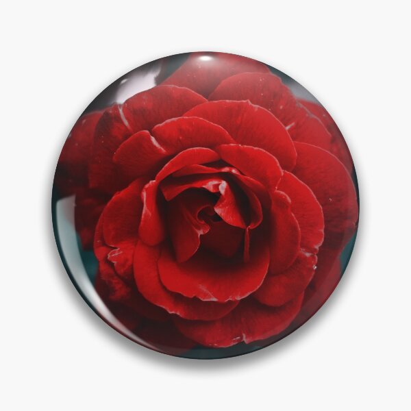 Item preview, Red Rose - red as crimson designed and sold by 275photography.