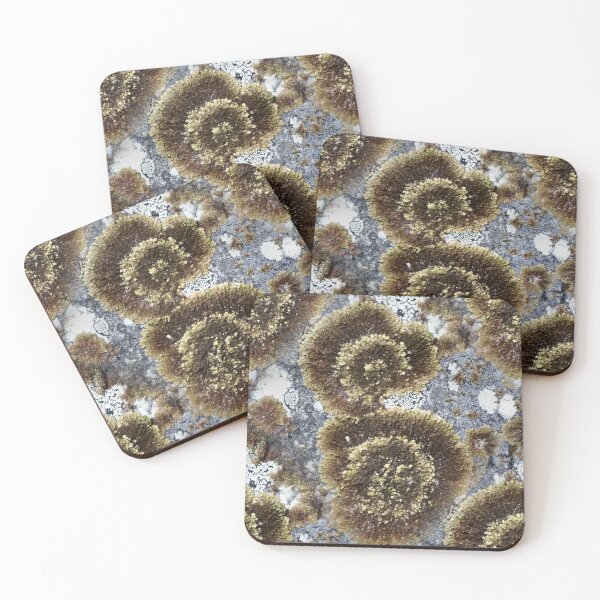 Item preview, Lichen Rose (pattern) designed and sold by Yampimon.