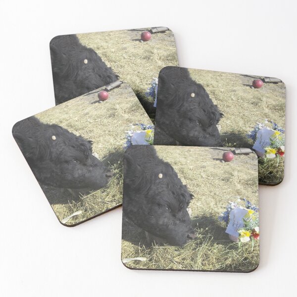 Item preview, May Day Jobie Style! designed and sold by JobieMom.
