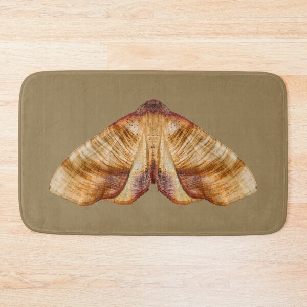 Item preview, Scorched Wing (Plagodis dolabraria) Moth designed and sold by AnthonyZed.