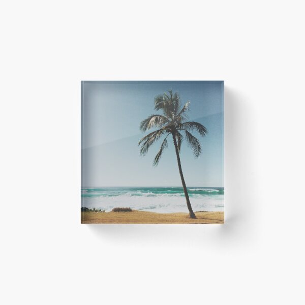 Palm Tree By The Beach  Acrylic Block