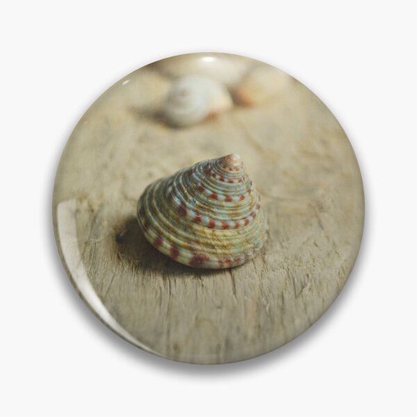 Item preview, Cone Shell. designed and sold by Lyn  Randle.