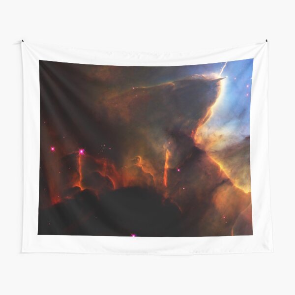 NASA - History of Hubble Space Telescope Tapestry
