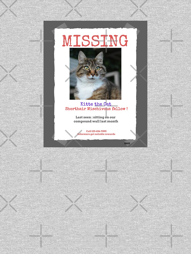Missing Cat
