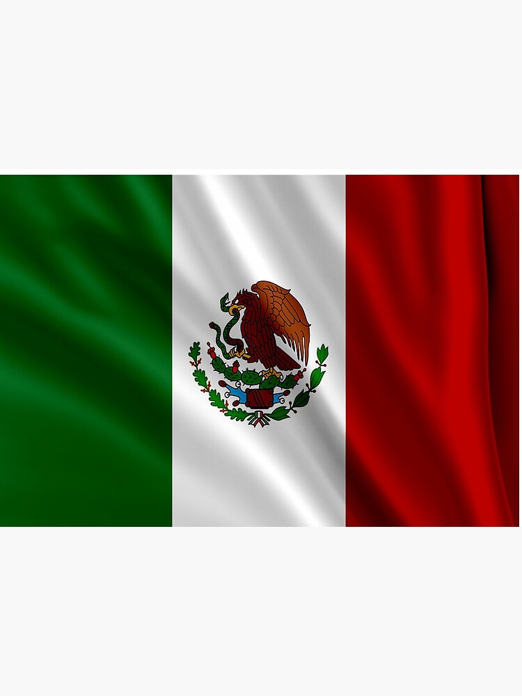 Mexico Flag Mask by docBrown00