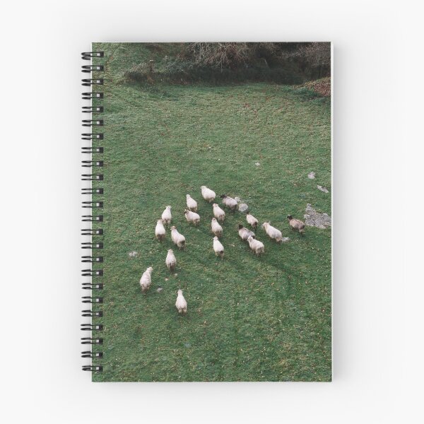 Item preview, Herd of sheep from above designed and sold by MarioGuti.