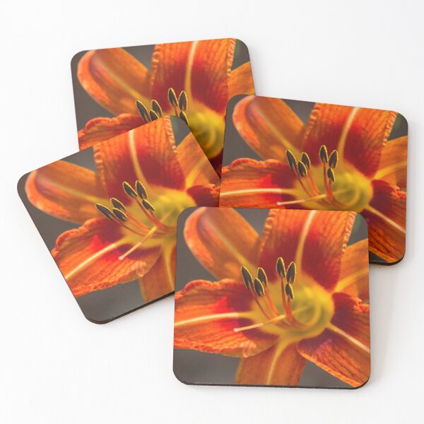 Item preview, Flower Splash designed and sold by designingjudy.