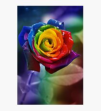 Perfection Photographic Print