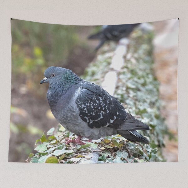 Item preview, A Pigeon on a Fence designed and sold by Vassia Sarri.