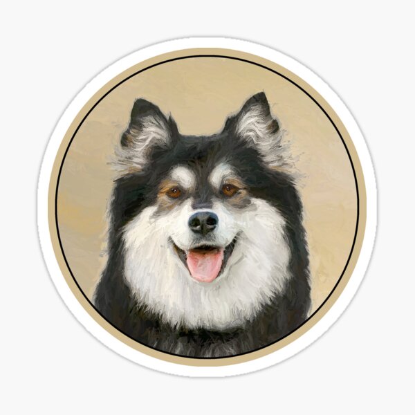 Finnish Lapphund Sticker