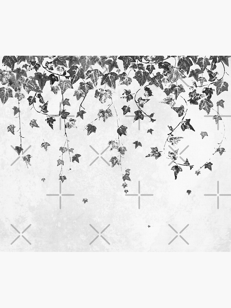 Hand Printed Black and White Trailing Ivy by itsjensworld