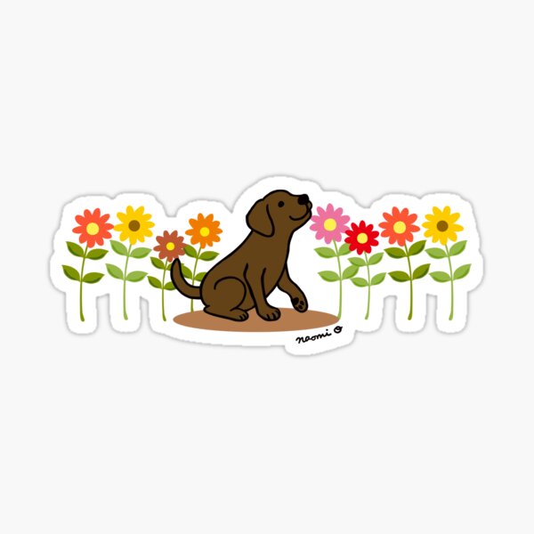 Chocolate Labrador Puppy and Flowers Sticker