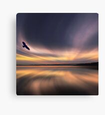 Golden Eagle Dawn by David Alexander Elder Canvas Print
